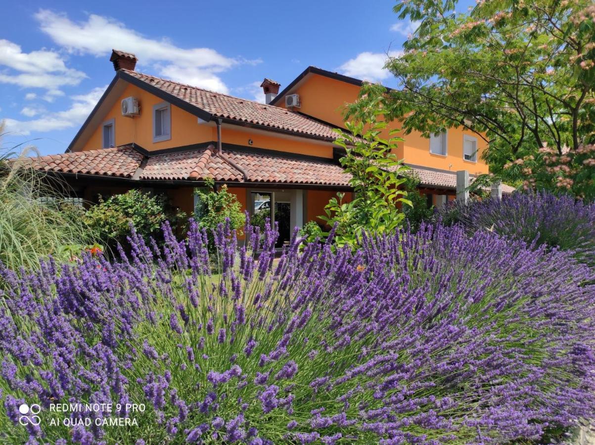 Apartma Lavanda Capodistria Esterno foto